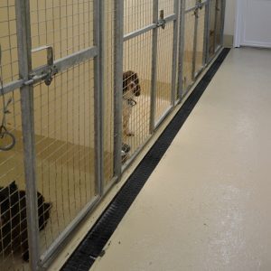 Extra Large Kennels